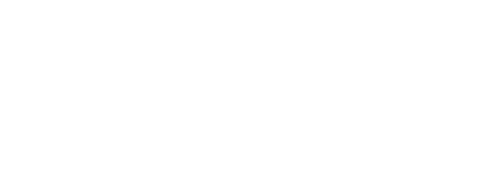 S-motion Logo partnerja