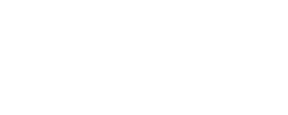 Sašo Reisman s.p. Logo partnerja