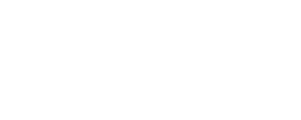 Satler Logo partnerja