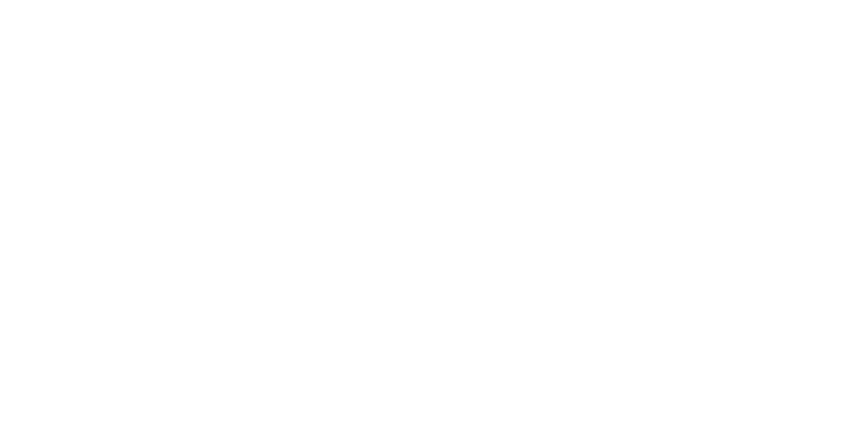 Second option Logo partnerja