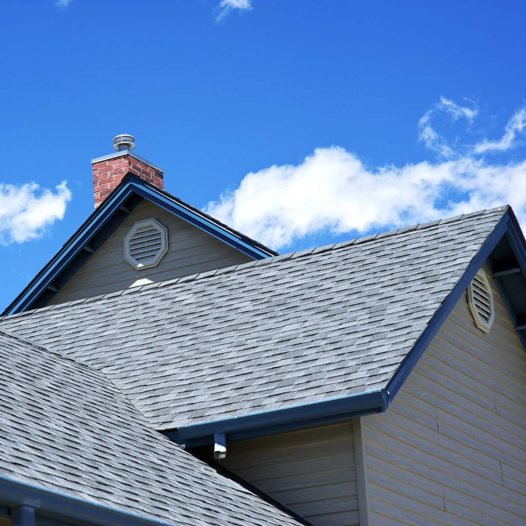 SejaTEH Slika trgovine