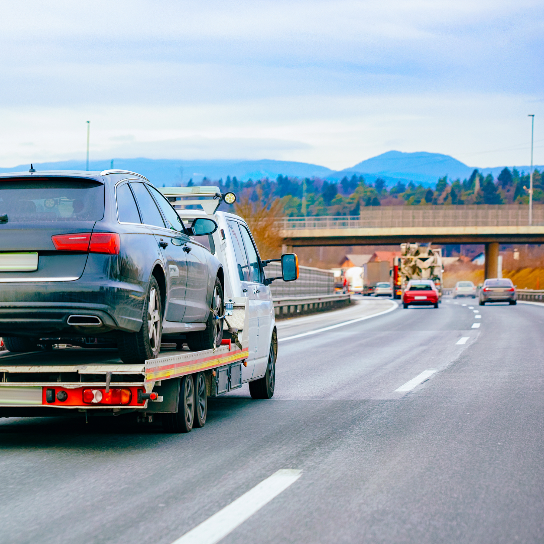 SH Avtoprikolice Slika trgovine