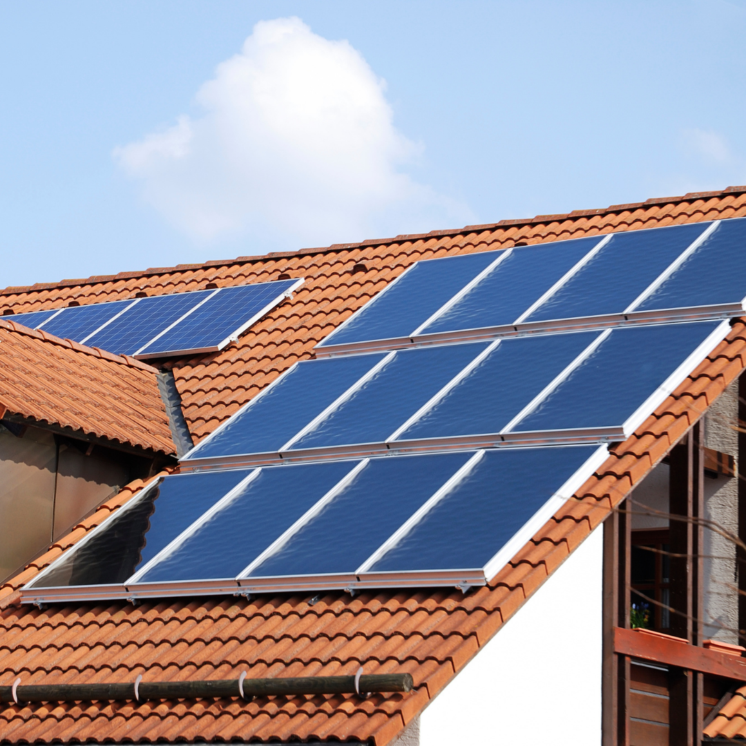 Sol Navitas Slika trgovine