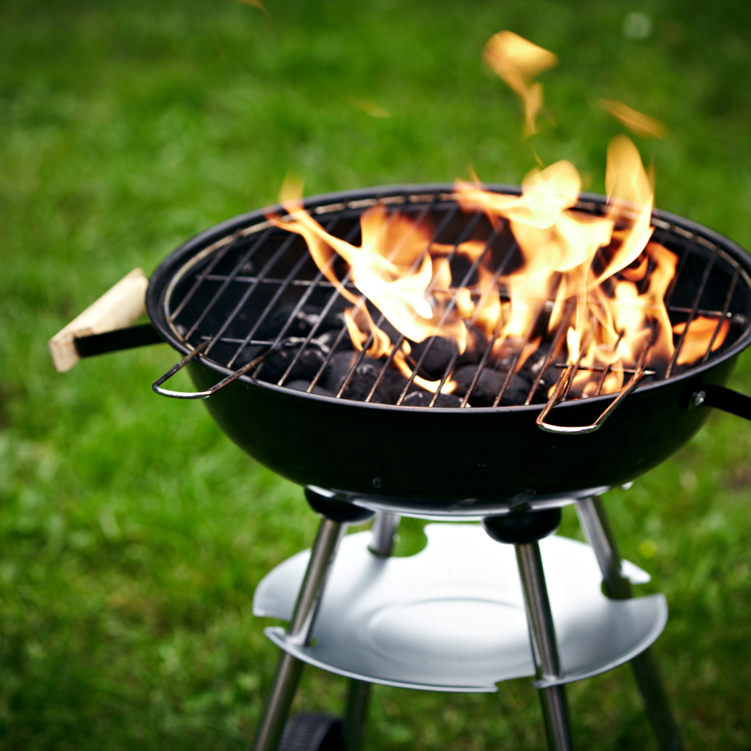 Kralj Žara Slika trgovine