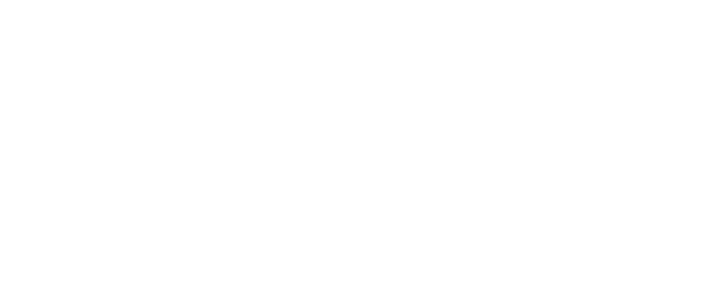 TDBS Logo partnerja