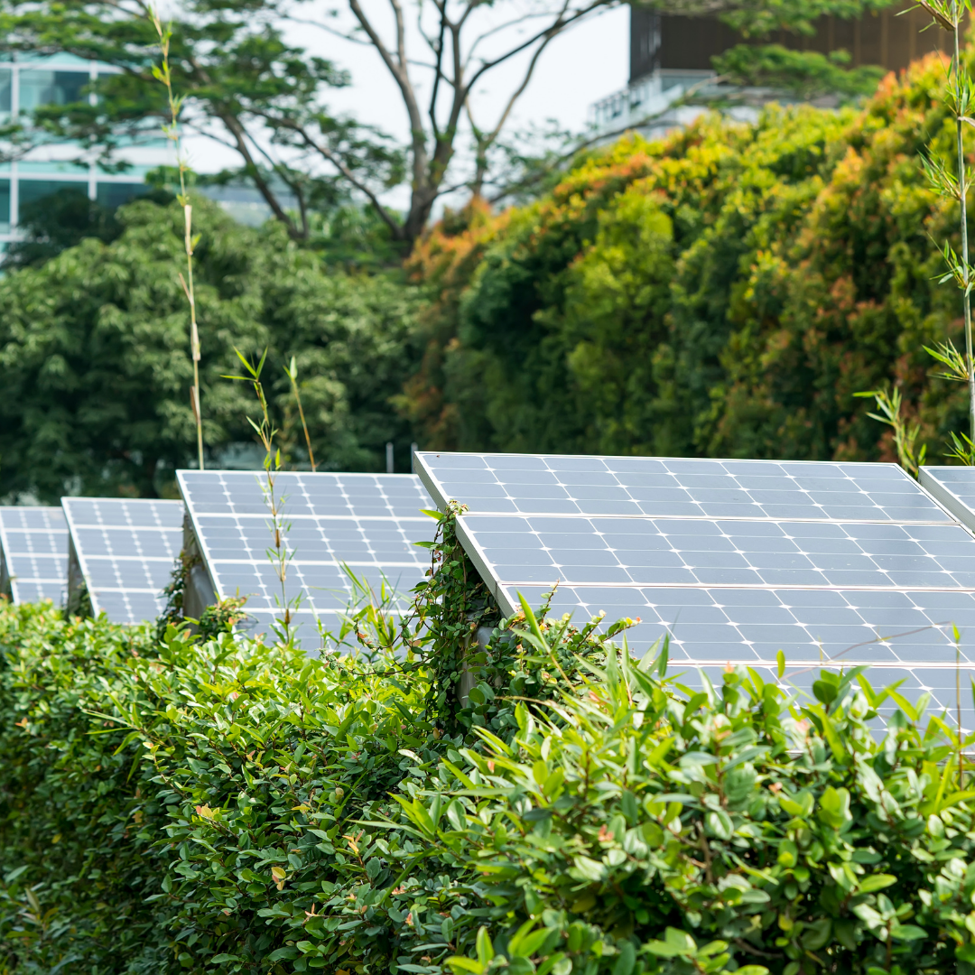 Termo Shop Slika trgovine