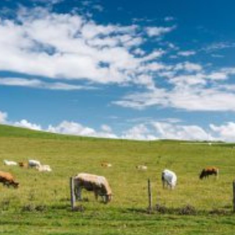 Trbanc d.o.o - Kmetijska trgovina Slika trgovine