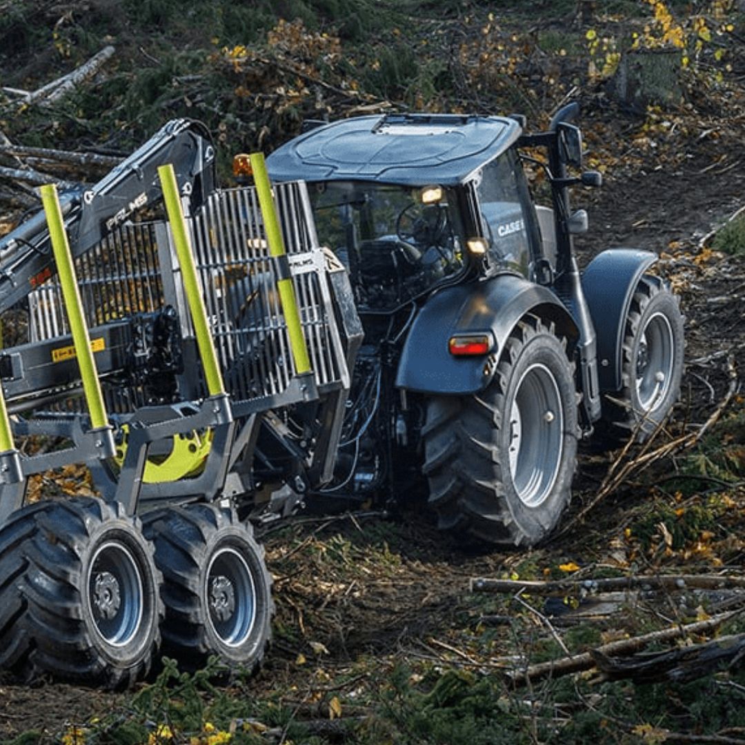 TRISA Slika trgovine