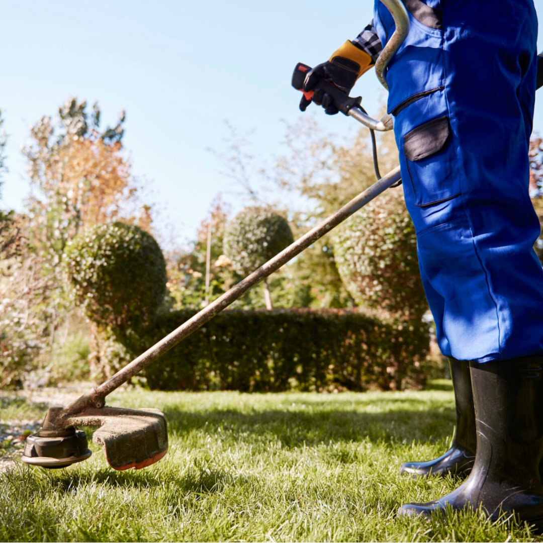 Tabakum Slika trgovine