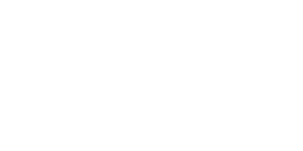 Top Smile Logo partnerja