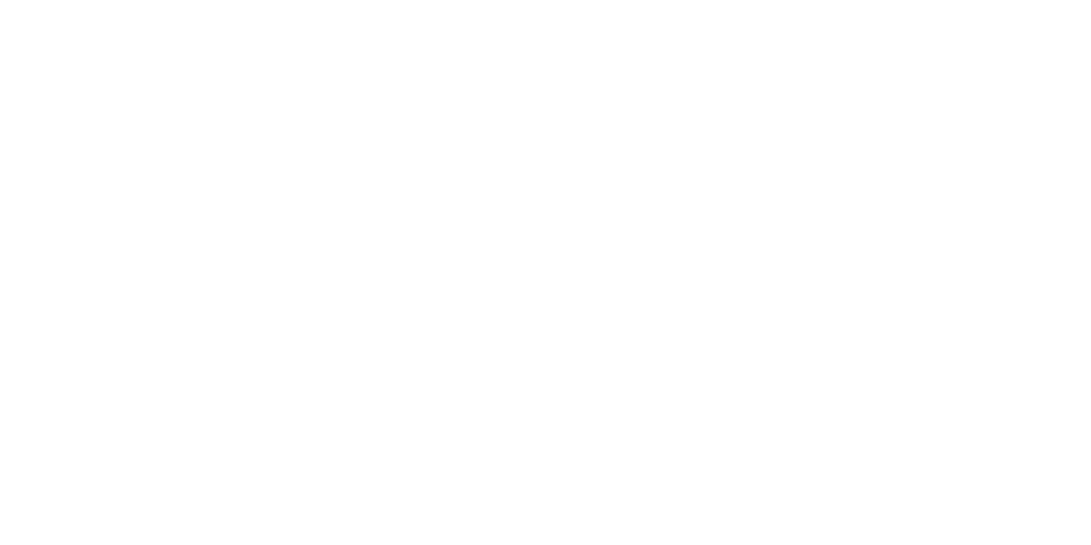 Waltis Logo partnerja
