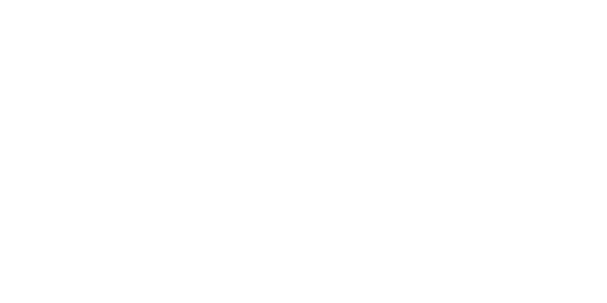VADYA Logo partnerja