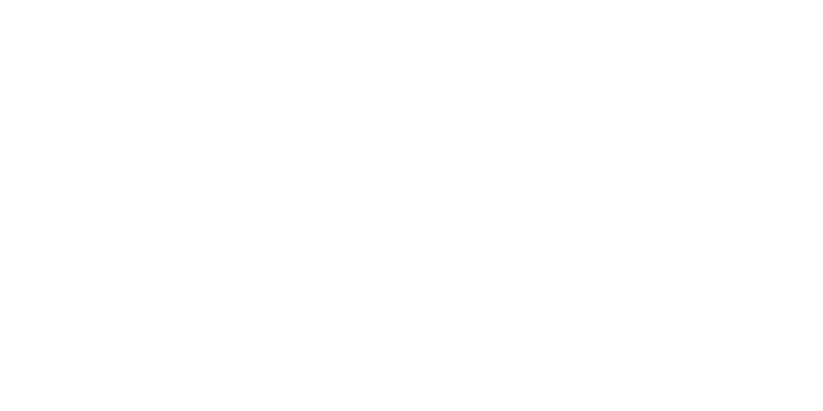 VARD TURIZEM Logo partnerja