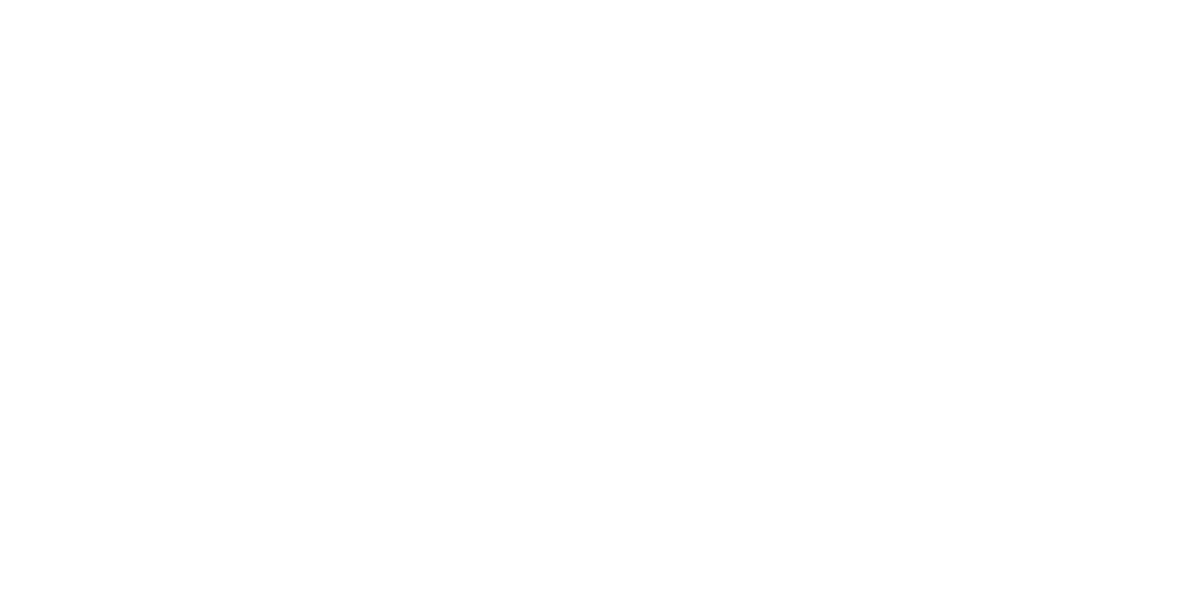 VIRTUA IT Logo partnerja