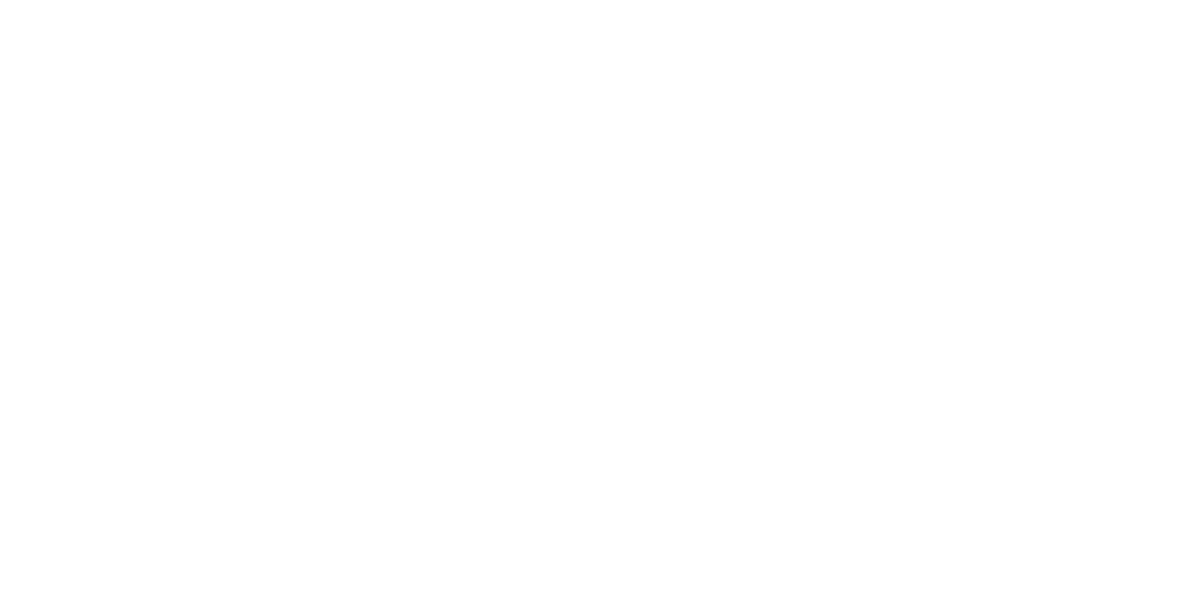 VITA Logo partnerja