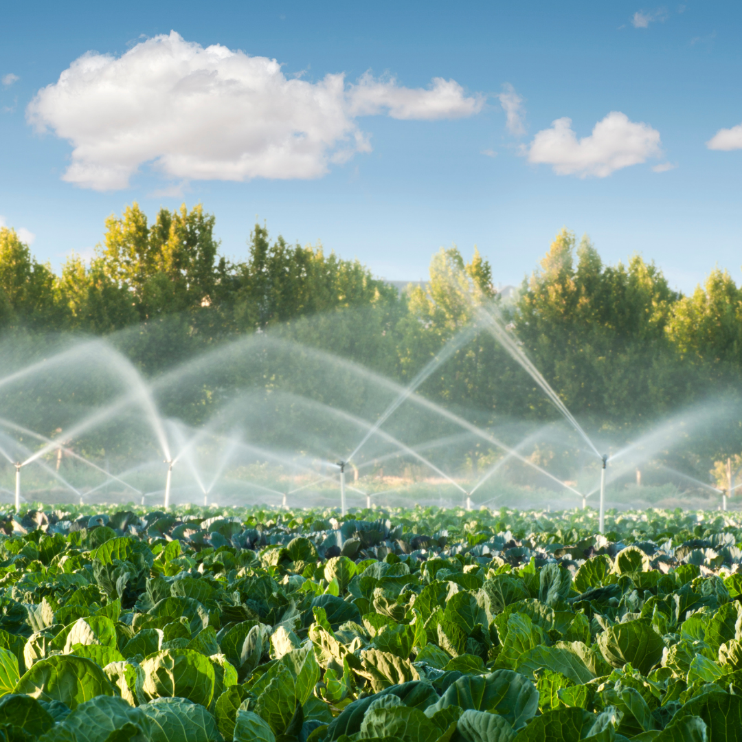 Vodateh Slika trgovine