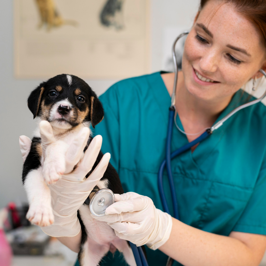 VP Slovenj Gradec Slika trgovine