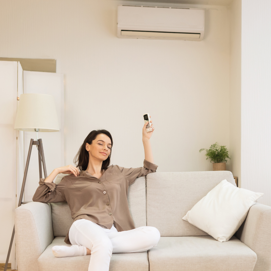 Venalia Slika trgovine