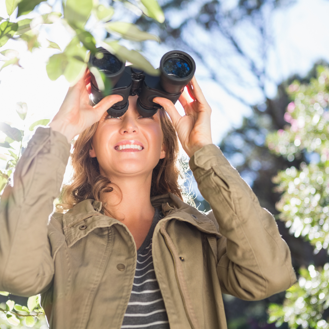 HuBro Slika trgovine