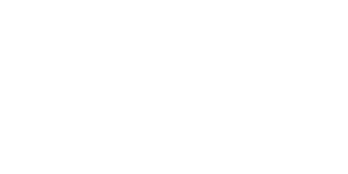 Viva Express Logo partnerja