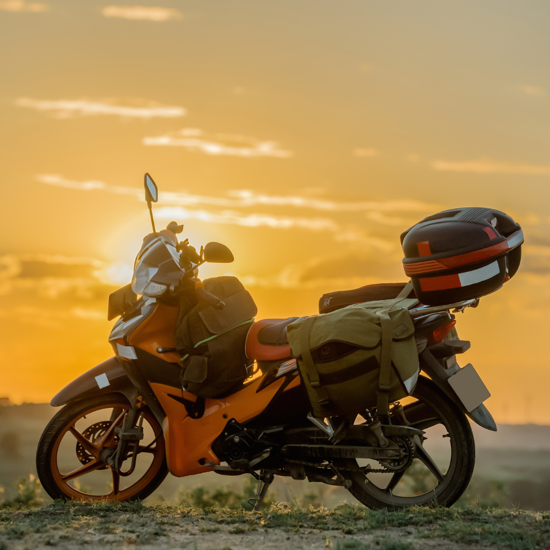 Yogi.si Vinska Gora Slika trgovine