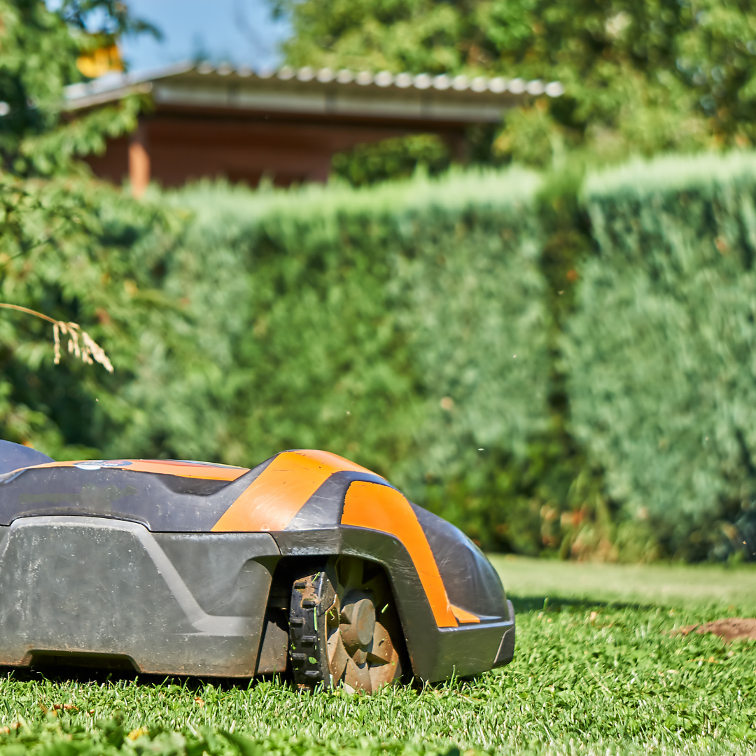 ŽKG Grad Slika trgovine