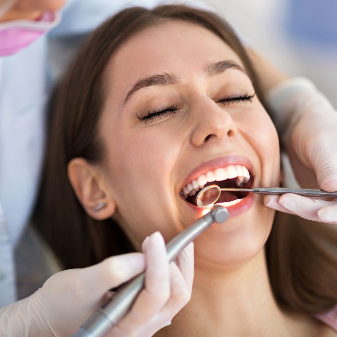 ZOBOESTETIKA Slika trgovine