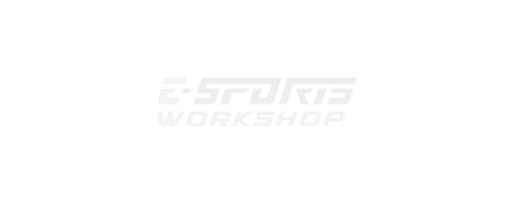 E-Sports Workshop Miha Praviček s.p Logo partnerja