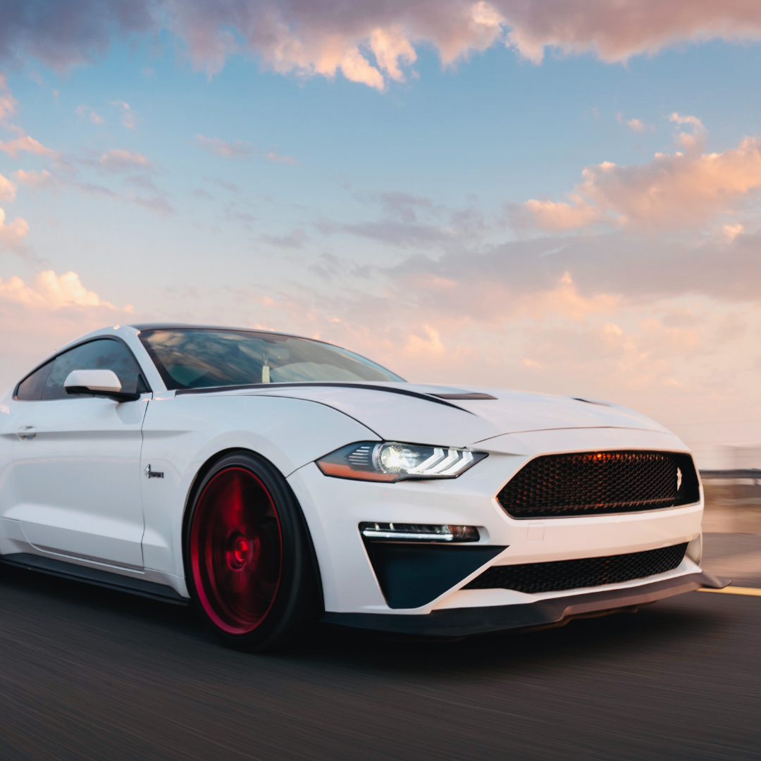 Ollie sport Logo partnerja