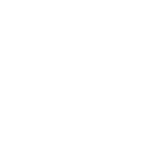 AGRORUS RADAUTI Logo partener