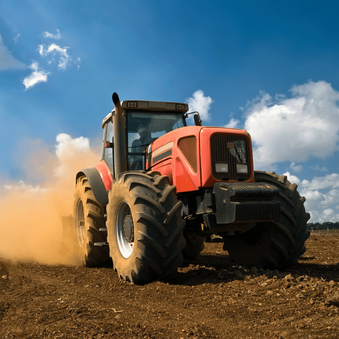 AGRORUS RADAUTI Imagine magazin