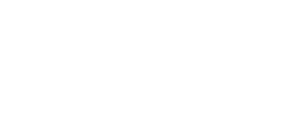 APiA D.O.O. Logo partnerja