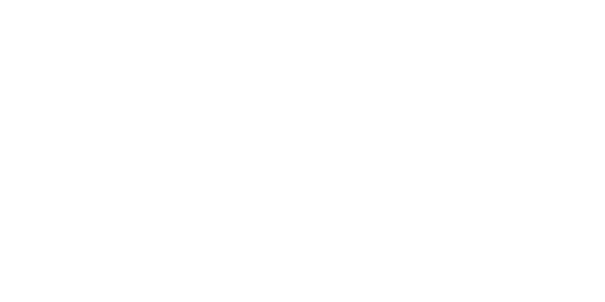 Car4U Logo partnerja