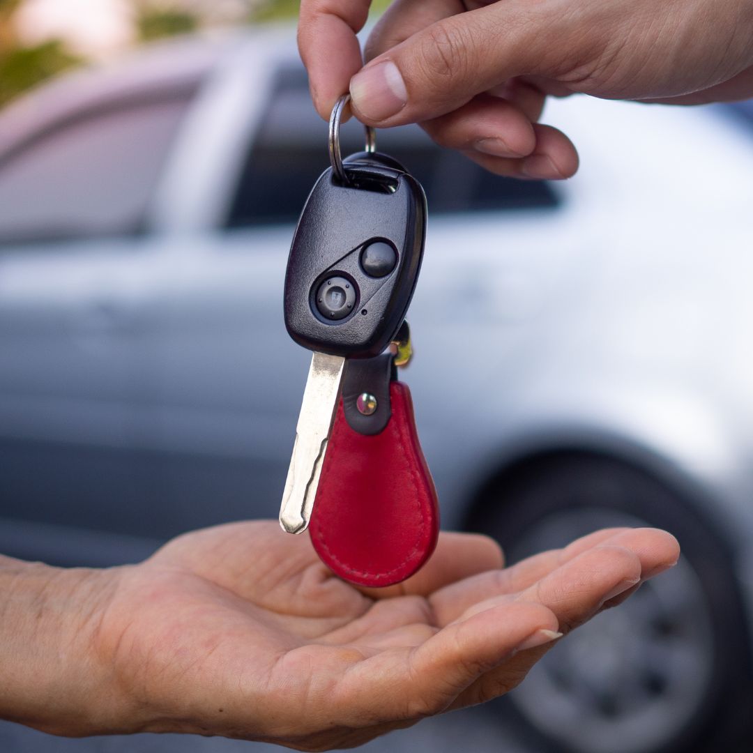 D-TRADE Slika trgovine