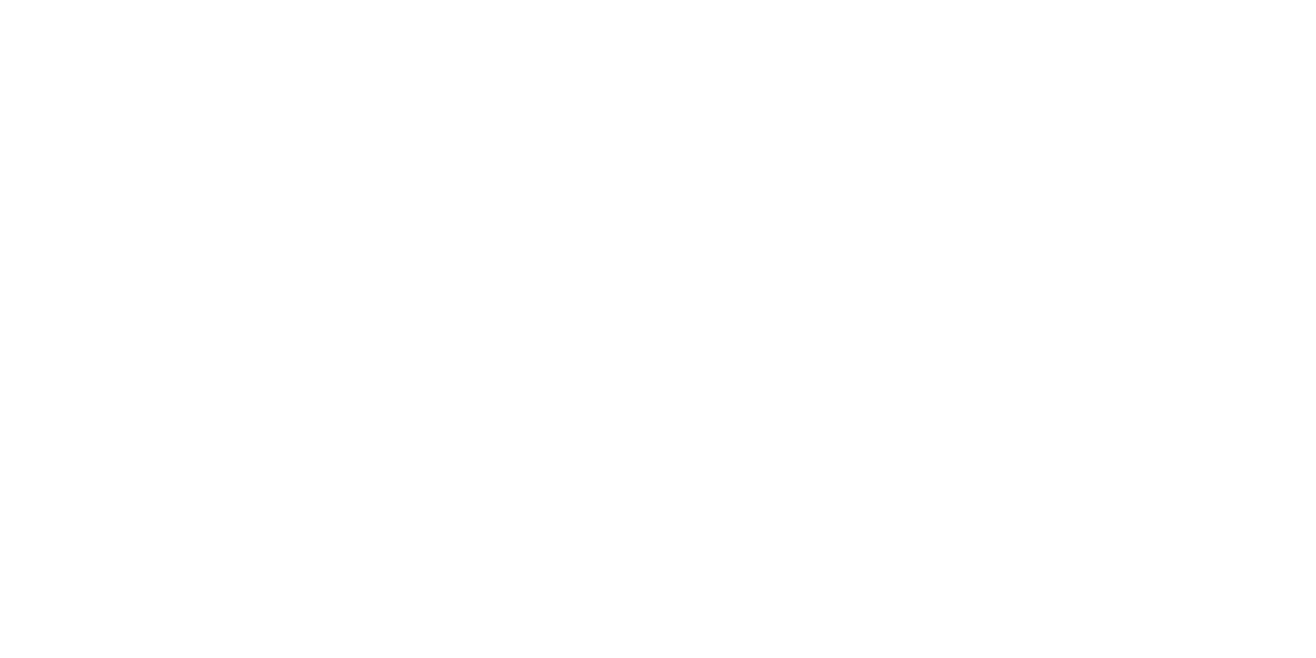 eVision Logo partnerja