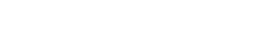 Evomag Logo partener