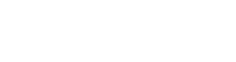 Flanco Logo partener