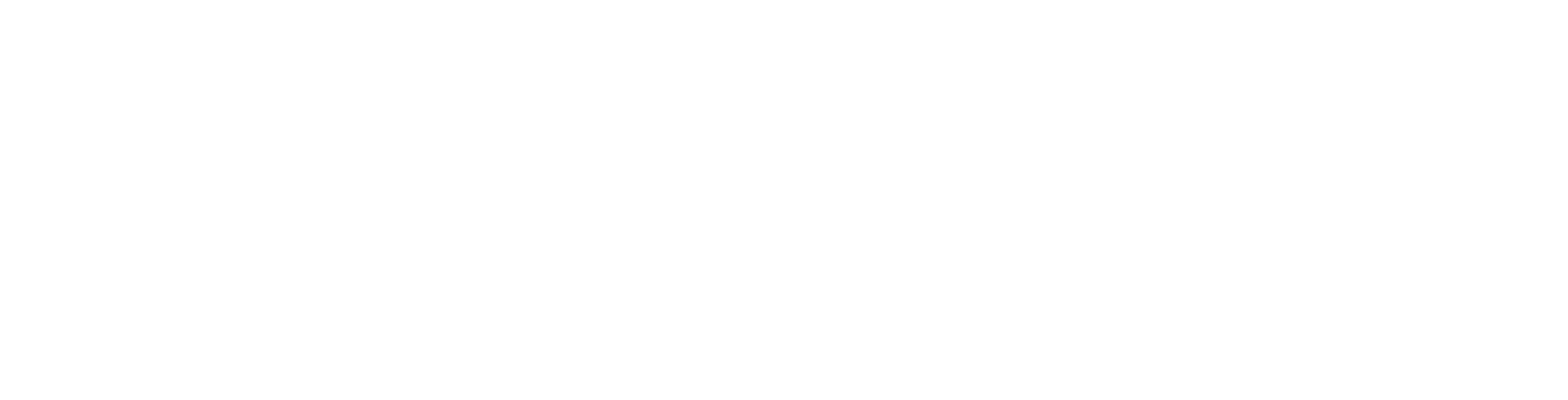 Lensa Logo partener