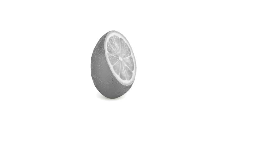 Lime-Design Showroom Tamilia Bucuresti Logo partener
