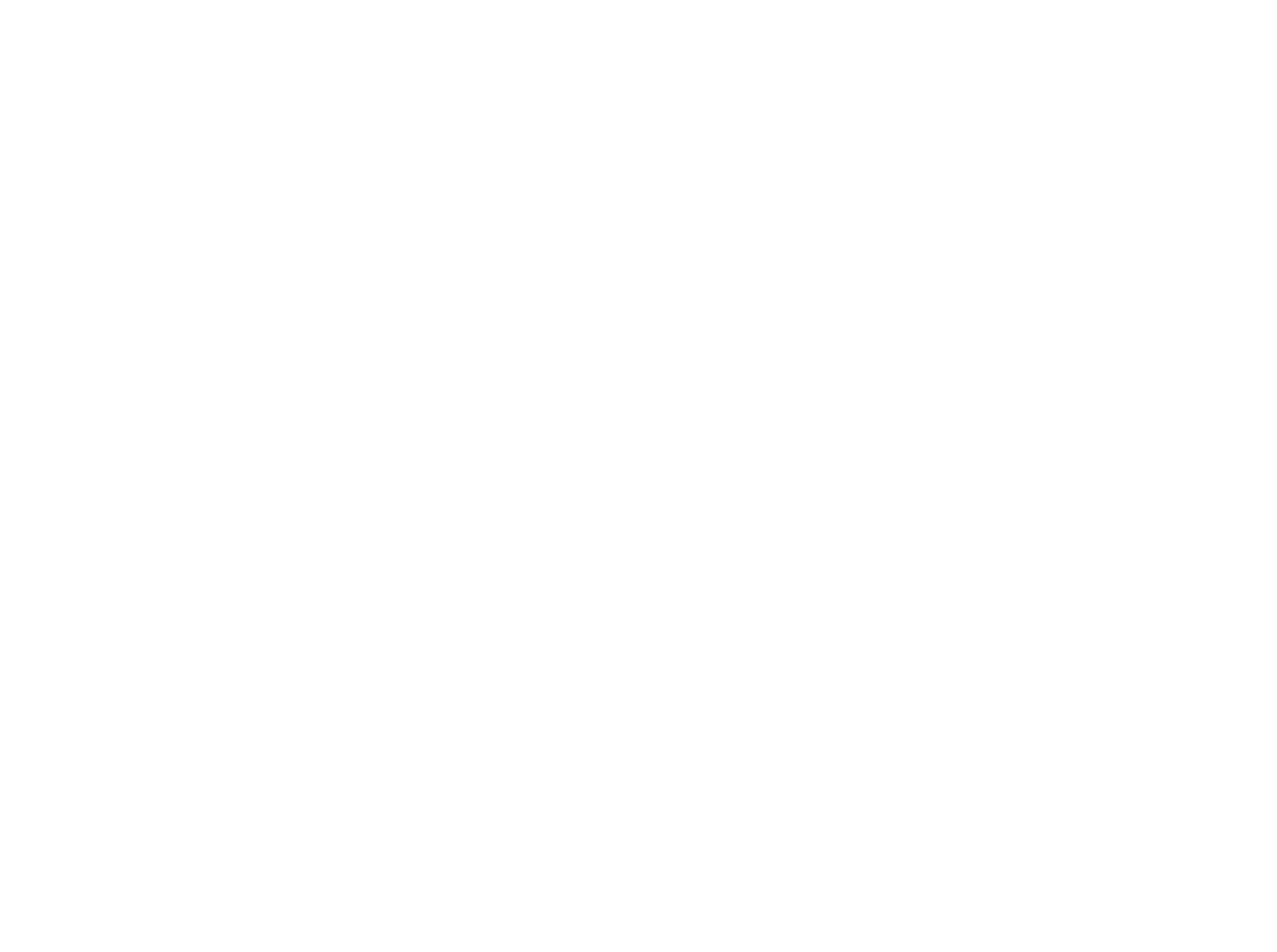 Big Fish Logo partener