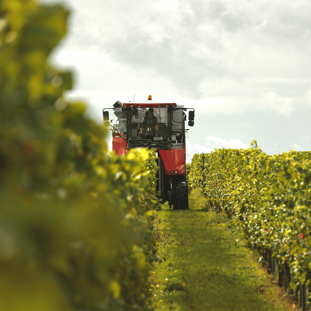 Da Bacco - Focsani Imagine magazin