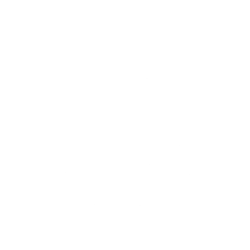 NEW SPORT SOLUTIONS Calea Mosilor Logo partener