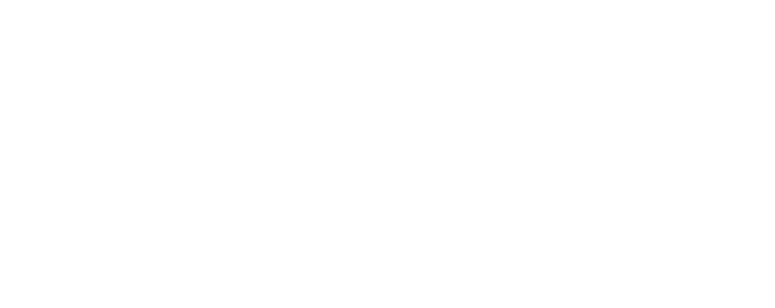 REGATA BUZAU Logo partener