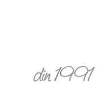 Rombiz Campia Turzii Logo partener