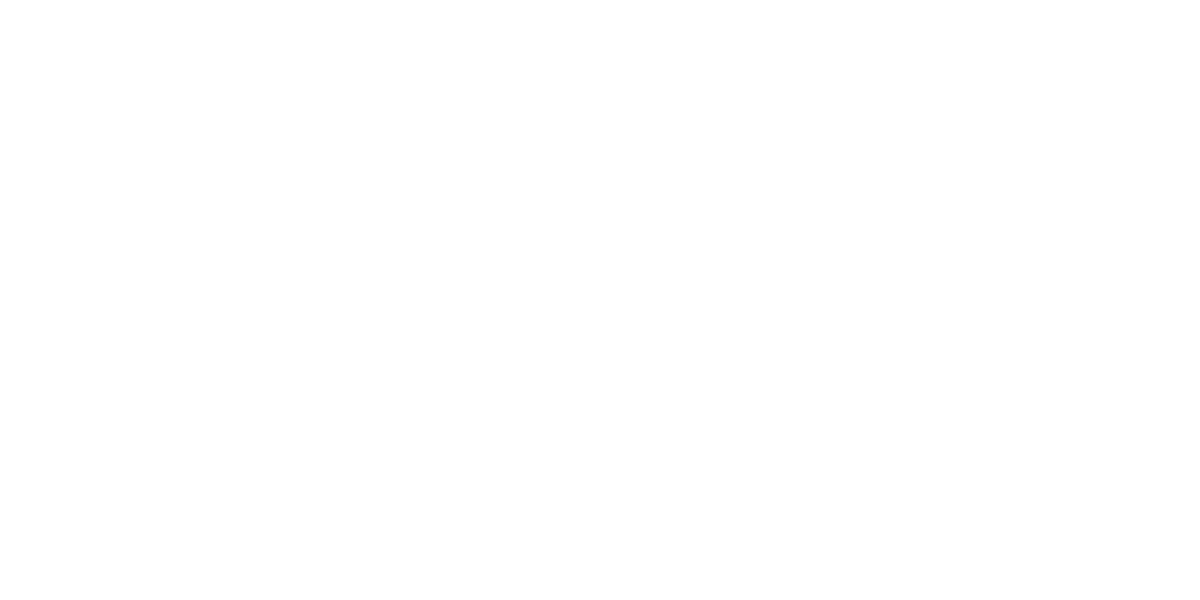 simp Logo partnerja