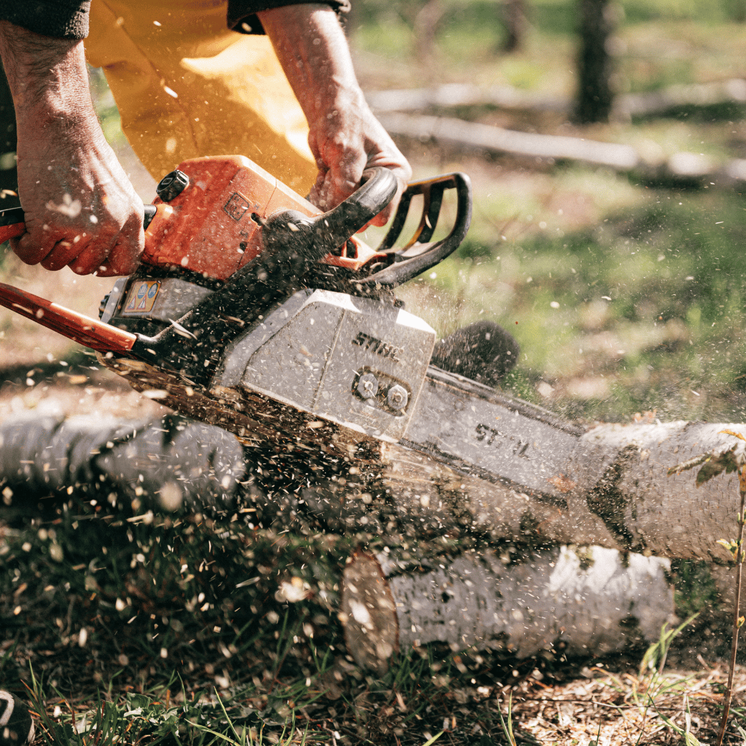 ACTIV TRAVANDI - Calarasi Imagine magazin