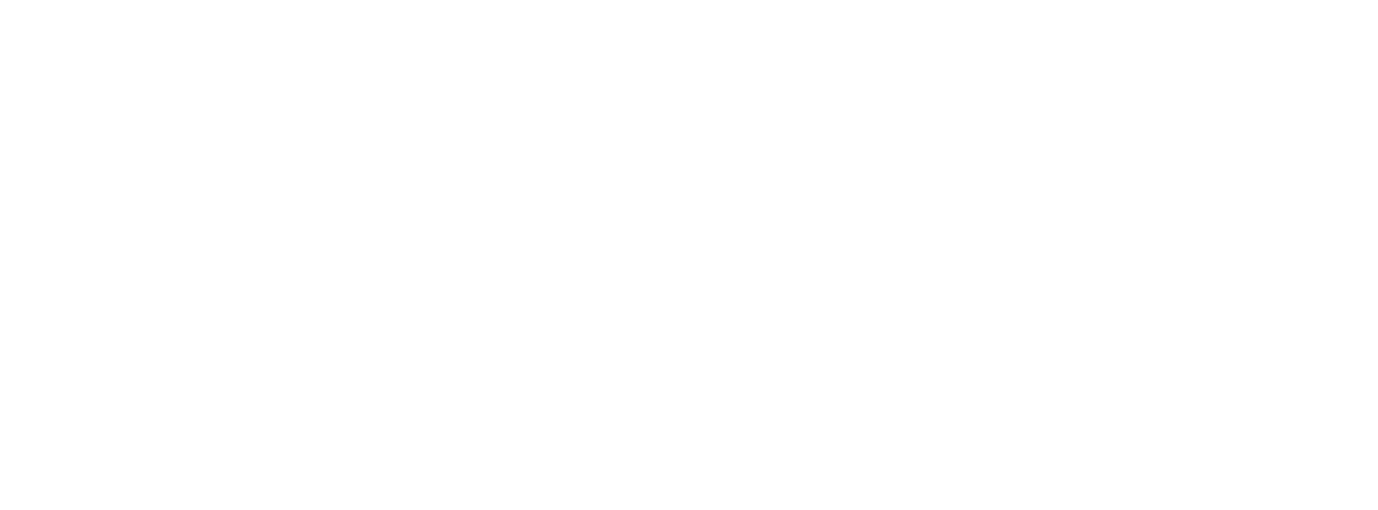 Vista Vision Arad Logo partener