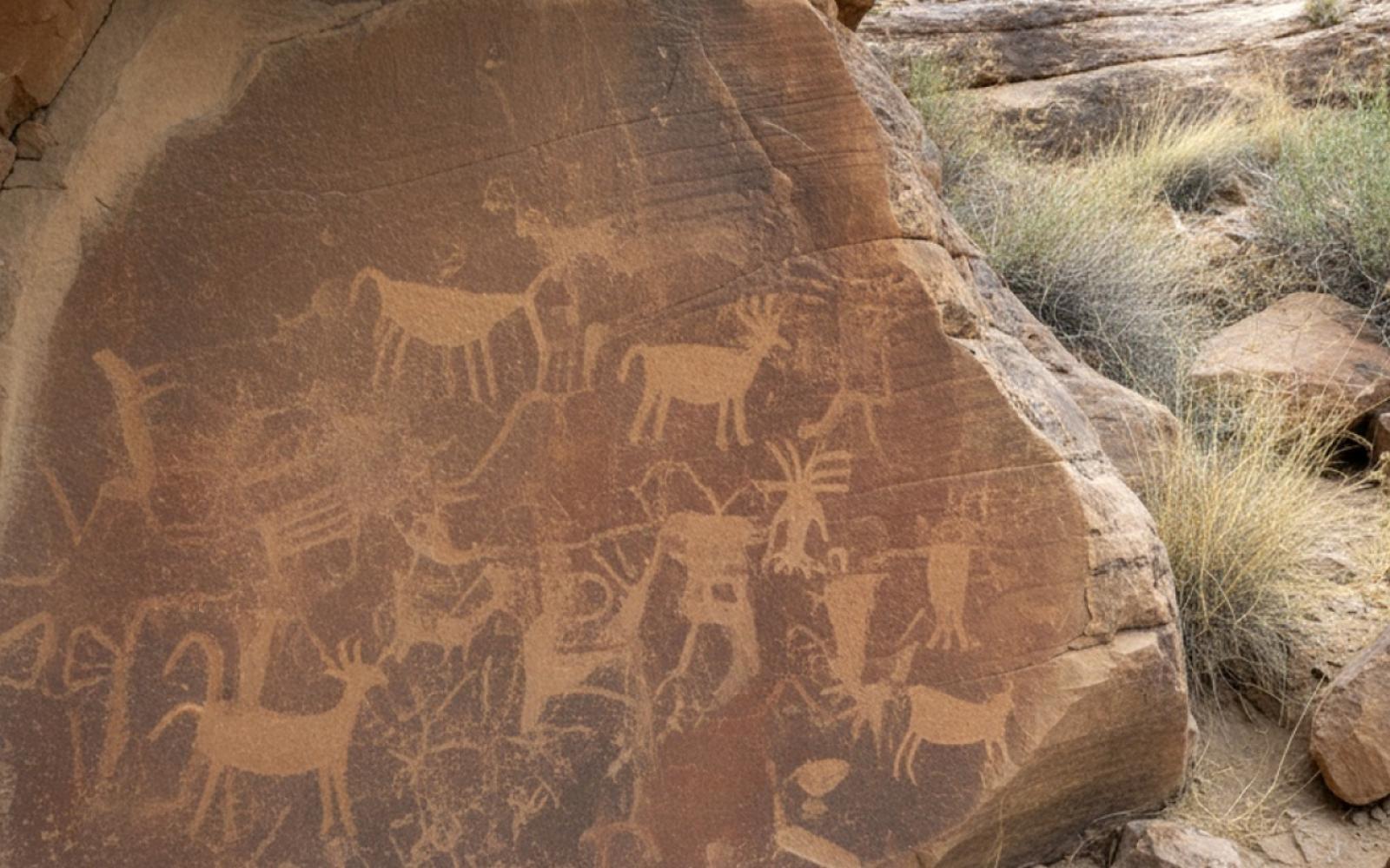 اكتشاف رسوم صخرية نادرة في سيناء يروي عشرة آلاف عام من تاريخ الفن والإنسان