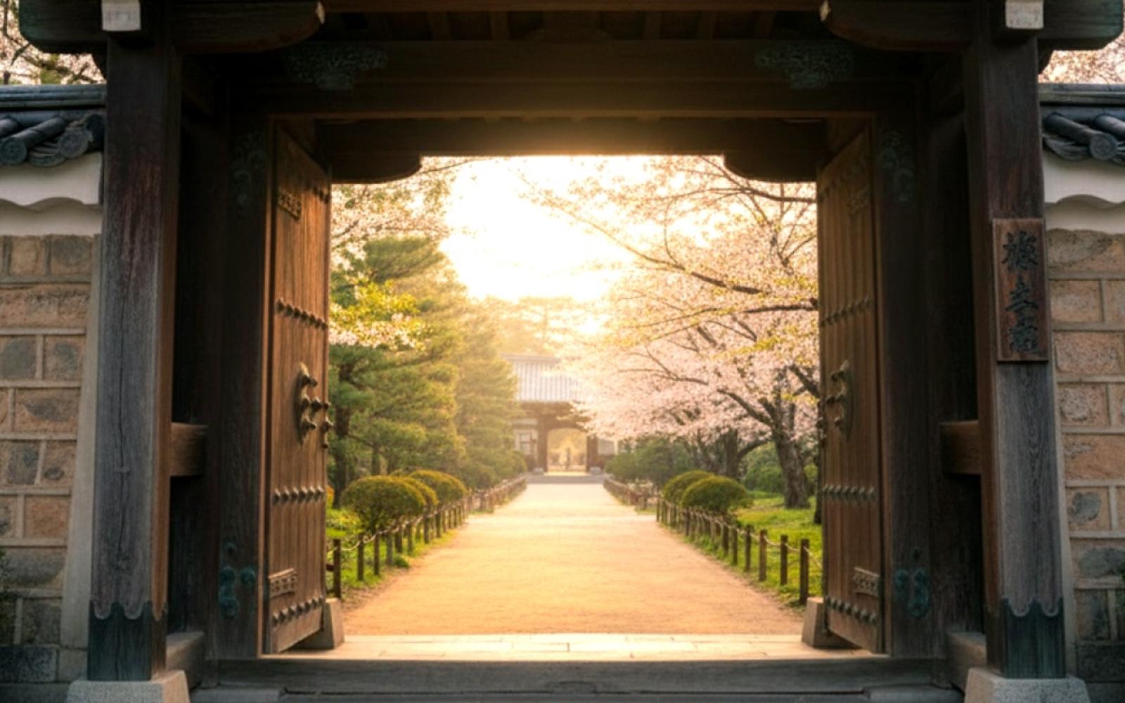 الصين تُوسع الإعفاء الجمركي ليشمل 53 دولة أفريقية.. تعزيز للتجارة ومواجهة للنفوذ الغربي