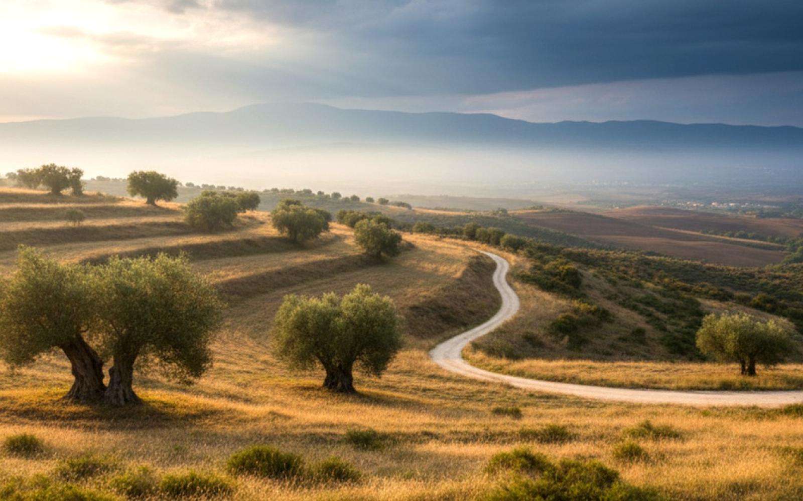 أجواء متقلبة في فلسطين: غيوم جزئية وبرودة نسبية اليوم، وأمطار وعواصف رعدية متوقعة نهاية الأسبوع